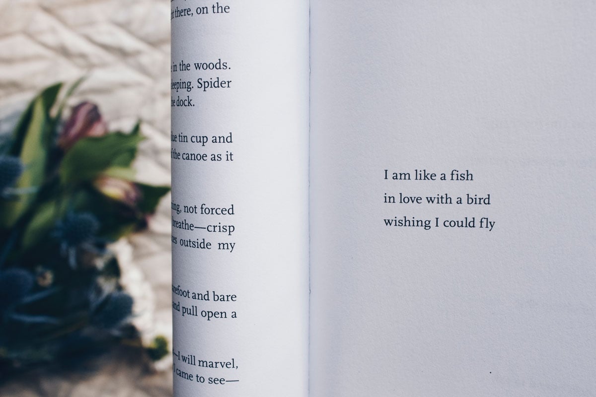 serif-book