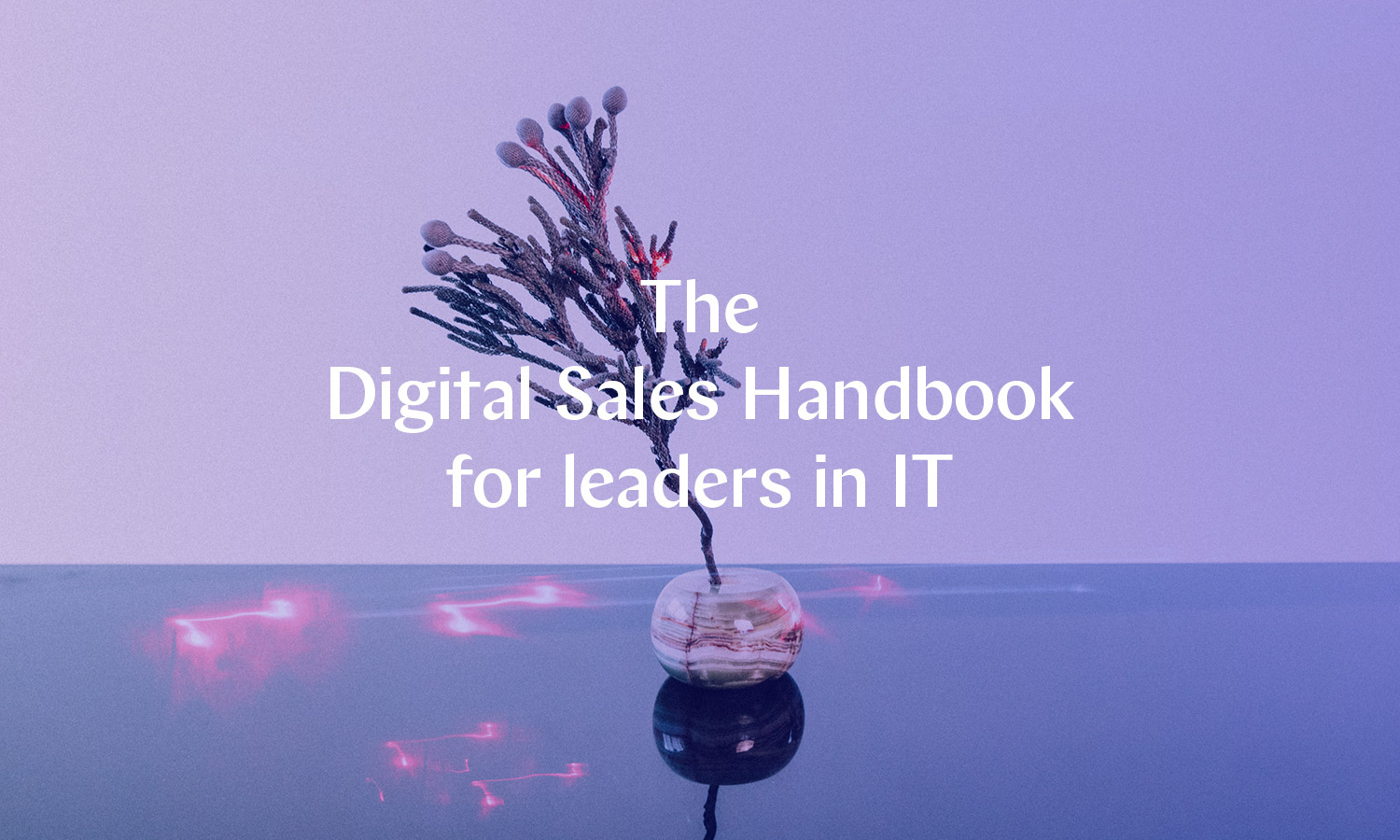 blog-sales-focused-it-hero