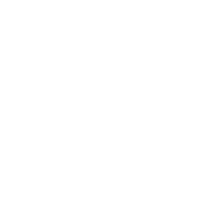 Google_G_Logo_300