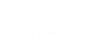 Logo_TjejerKodar