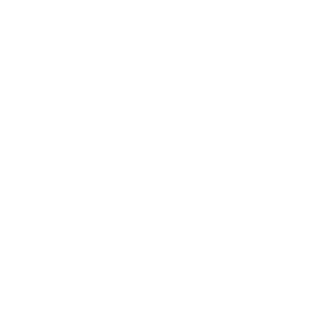 Tesla_logo_300