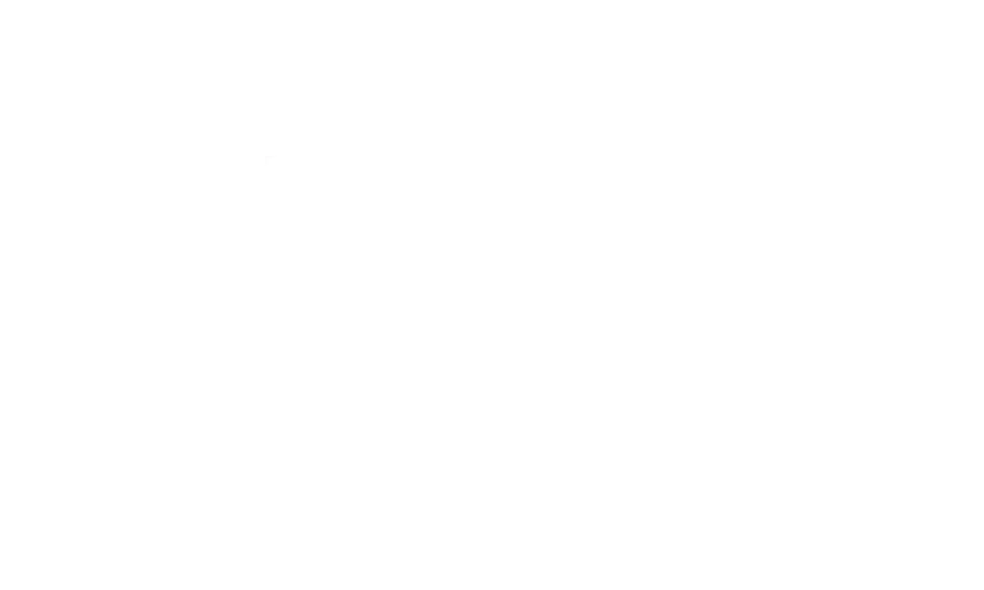 Logo_MimmitKoodaa